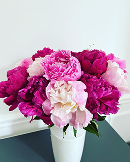 Fleurs